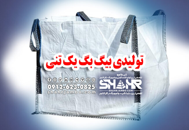 تولیدی بیگ بگ یک تنی