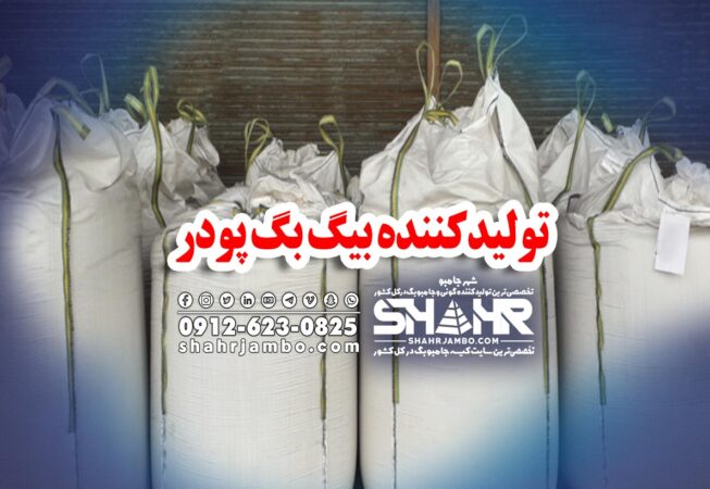 تولیدکننده بیگ بگ پودر