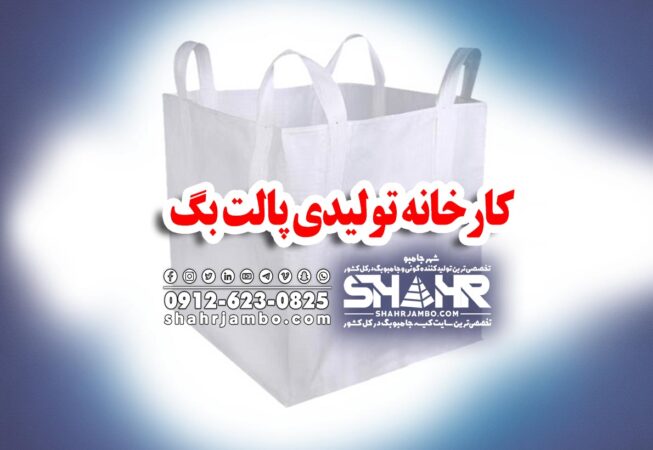 کارخانه تولیدی پالت بگ