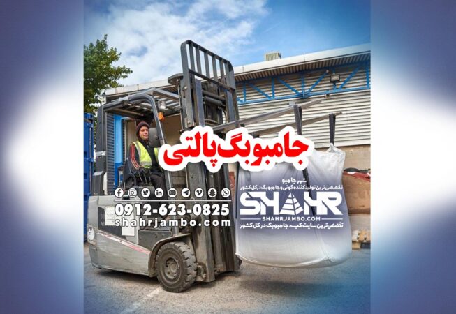 جامبوبگ پالتی